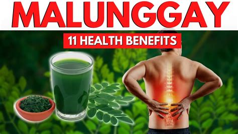 olifer malunggay capsule benefits|Malunggay: 12 Benefits You Need to Know .